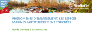 Claude MIAUD et Gaelle DARMON - Plastiques et phénomènes d'emmêlement