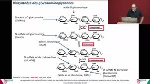 UE1 ECUE1.2 Biochimie Pr Philibert 01102024.m4v