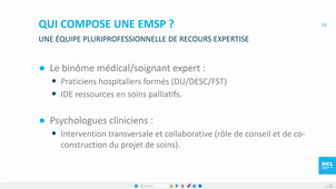 L'équipe territoriale en soins palliatifs - Pr E. Perceau-Chambard (Lyon).mp4