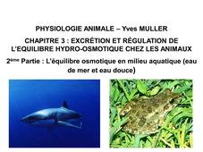LICENCE DE BIOLOGIE Chapitre 3 – Excrétion et régulation de l’équilibre hydro-osmotique chez les animaux 2ème Partie : L’équilibre osmotique en milieu aquatique (eau de mer et eau douce)