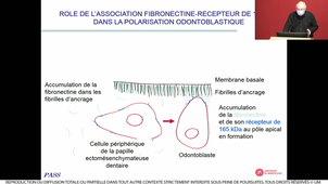 S2UE9_Cuisinier_3_11022021