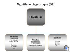 Diag_Pubalgie_Bonneau_2021