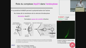 PASS - UE3 ECUE 3.1 Bio Cell - Cornillot - 08/09/2026