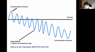 Vidéo Pr Alain Dervaux la dépression et l'alcool.mp4