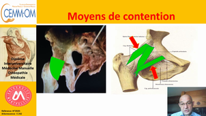 MI_Pratique_Techniques manipulatives et de mobilisation articulaire de hanches