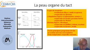 Anatomie de la peau du crane et de la face