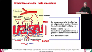 Pass UE4 Physiologie Humaine - Pr.MATECKI - 11/02/26