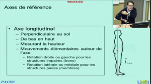 Anatomie générale et morphologique du SNC et périphérique - Partie 1