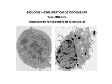 BIOLOGIE - EXPLOITATION DE DOCUMENTS :  Organisation fonctionnelle de la cellule - 2ème Partie 'Observation de la cellule'