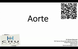 DR BENENATI ECHO AORTE ABDO.mp4