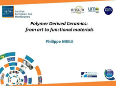 Polymer derived ceramics : from art to functional materials