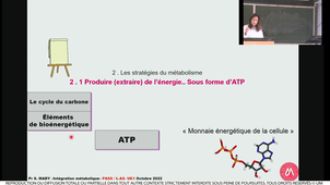 S1UE1_ECUE1.2_MARY_1_11102022_20221011-PHARMA