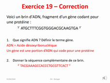 DU-Biologie - Correction exo 19