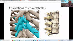 16/09/2022	08h	10h	Appareil respiratoire - CM 4.3 anatomie	Pr CAPTIER Guillaume	Amphi UPM	DFGSM3