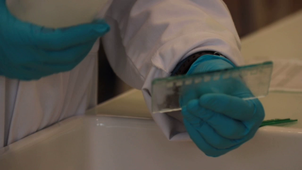 Electrophorese de protéines