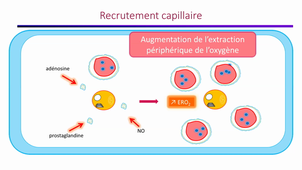04/05/2021	10:00	12:00	Etat de choc	KLOUCHE K.	309	3563247141	MIF