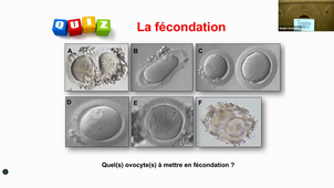DFGSM2 UE - Reproduction, fertilité et embryologie - CM7 - BARRY.F --16092025