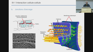 PASS - UE3 ECUE 3.1 Bio cell - Solassol - 08/09/2026