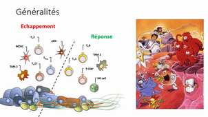 Les principes de l'immunothérapie en oncologie - Dr J-D Fumet
