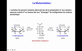 HLBI202 Glucides 2