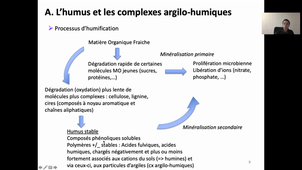 HMBA108-Guyomarch-CM2-restauration_sols-degrades-161220