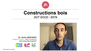 DUT GCCD C0 SST9 - Vidéo 1