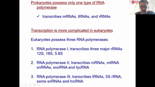 01042021-transcription-coulon