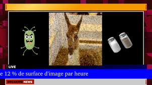 Projet Image M2 -  Groupe 7