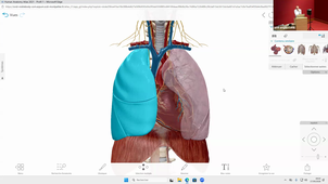 DFGSM3 - SMa3 - Anatomie des voies aériennes inférieures (trachée, bronche,  poumon et plèvre) - Guillaume Captier - 17/09/2026