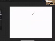 20-02-26-DFGSM2-Appareil rénal-M Bertrand-CM7.mp4