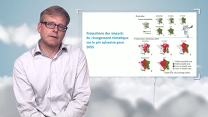 Impacts du changement climatique sur les écosystèmes et la biodiversité