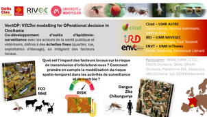 Projet VectOP et Questions.mp4