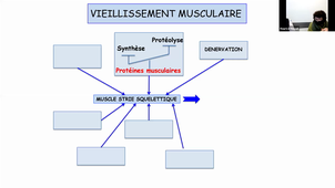 Physiologie UE 4B du mercredi 17 février 2021 – 10h00-12h00