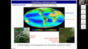 HLBE508 - CM1 - Phytoplancton en milieu estuarien et lagunaire - BBEC