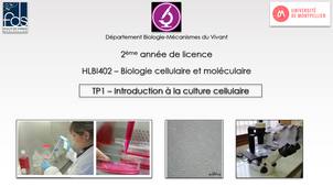 Vidéo TP 1 HLBI402 ntroduction à la culture cellulaire