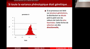 Cours Ecologie Evolutive 4