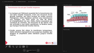 CM5 Dépistage néonatal de la surdité_Emilie HERVE ANDRE_06-05-2024