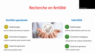 CM 12_Reproduction Fertilité Embryologie_Dr Sophie BROUILLET_061023