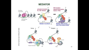 4.HMBS218-Transcription3