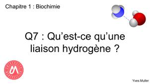 Chapitre 1 – Biochimie Q7 : Qu’est-ce qu’une liaison hydrogène ?