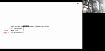 TD HLBI307 du 16/11/2020
