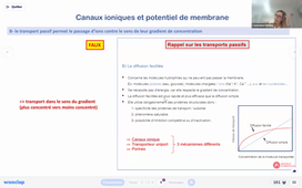 DFGSM2 UE : APPAREIL NEUROSENSORIEL PARTIE 2 - Constance Delaby - 18/02/2026