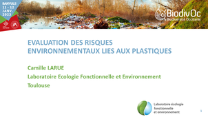 Camille LARUE - Risques environnementaux des plastiques