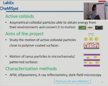 LABEX CheMiSyst Summer School - Presentation Flash - Mojdeh HEIDARI