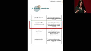 DFGSM2 - Pr.Denis -  Physiologie de la somesthésie : nociception et analgésie - 25/02/2025