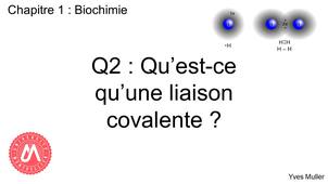 Chapitre 1 – Biochimie Q2 : Qu’est-ce qu’une liaison covalente ?