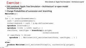 HBMA312 - Modelisation de l'architecture des fruitiers - Part 2