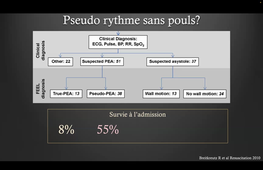 PR BOBBIA PLACE DE L'ECHO DS ARRET CARDIO RESPI.mp4