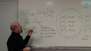 L'électrophysiologie 1ère partie.