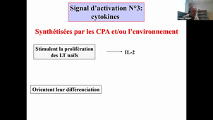 DFGSM2-T.Vincent-TS Immuno-CM10 et CM11